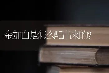 金加白是怎么配出来的？