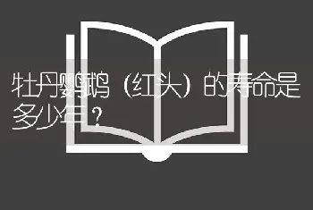 牡丹鹦鹉（红头）的寿命是多少年？