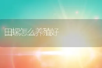 田螺怎么养殖好