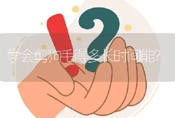 学会剪狗毛得多长时间能？