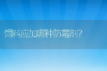 饲料应加哪种防霉剂？