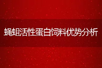 蝇蛆活性蛋白饲料优势分析