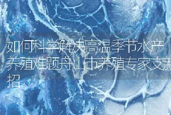 如何科学解决高温季节水产养殖难题舟山市养殖专家支新招