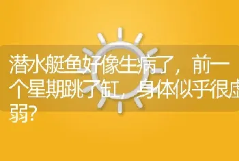 潜水艇鱼好像生病了，前一个星期跳了缸，身体似乎很虚弱？