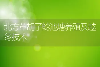 北方革胡子鲶池塘养殖及越冬技术