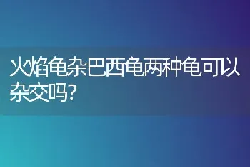 火焰龟杂巴西龟两种龟可以杂交吗？