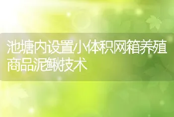 池塘内设置小体积网箱养殖商品泥鳅技术