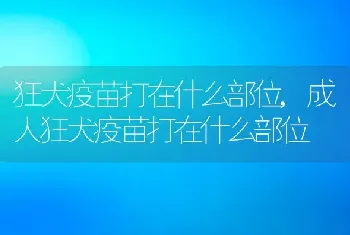 狂犬疫苗打在什么部位，成人狂犬疫苗打在什么部位