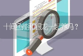 十间鱼能和银龙一起养吗？