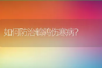 如何防治鹌鹑伤寒病？