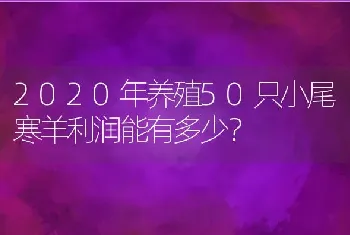 2020年养殖50只小尾寒羊利润能有多少？