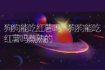 狗狗能吃红薯吗，狗狗能吃红薯吗蒸熟的