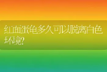 南方有云雀吗？