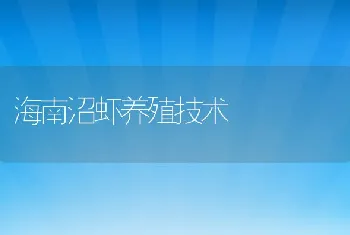 海南沼虾养殖技术