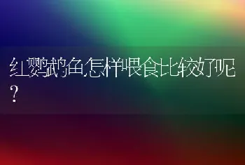 比熊泰迪黑色混血毛发会变色吗？