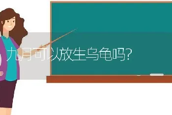 九月可以放生乌龟吗？