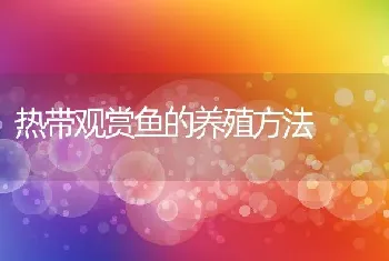 热带观赏鱼的养殖方法