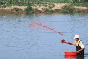 水产养殖，夏季科学用药提升鱼虾蟹质量