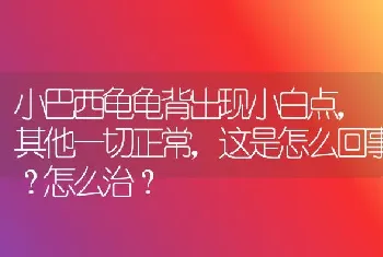 小巴西龟龟背出现小白点，其他一切正常，这是怎么回事？怎么治？