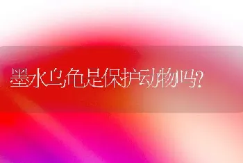 我家养狗狗，德牧，小公狗，起什么名字好呢？