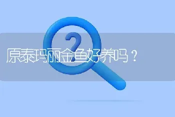 红绿灯鱼买多大的比较好？