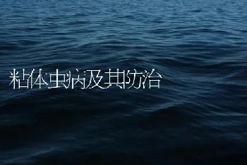 粘体虫病及其防治