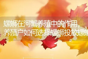 螺蛳在河蟹养殖中的作用，养殖户如何选择螺蛳投放螺蛳