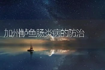 加州鲈鱼肠炎病的防治