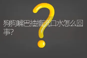 狗狗嘴巴抽搐流口水怎么回事？