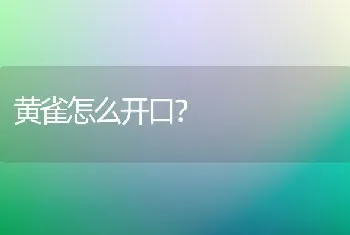 黄雀怎么开口？