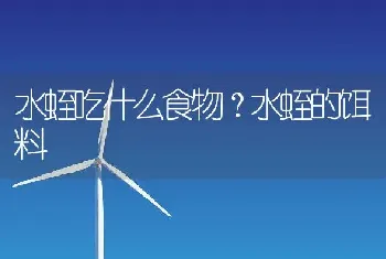 水蛭吃什么食物？水蛭的饵料