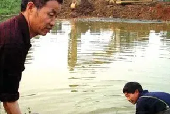 夏季高温给鱼池注水四注意