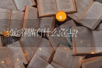 比熊犬的身高最大长到多少？