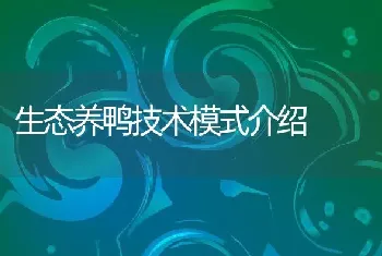 生态养鸭技术模式介绍