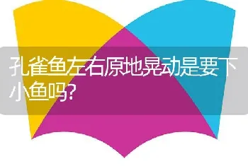 孔雀鱼左右原地晃动是要下小鱼吗？