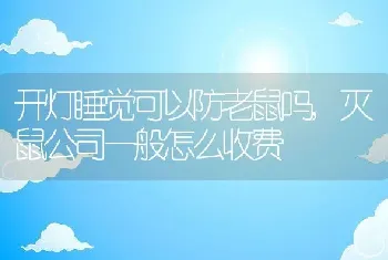 开灯睡觉可以防老鼠吗，灭鼠公司一般怎么收费