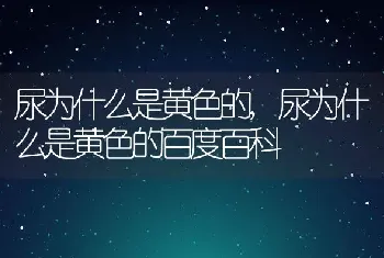 尿为什么是黄色的，尿为什么是黄色的百度百科