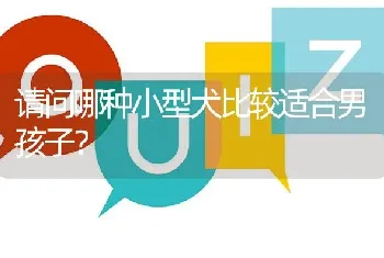 请问哪种小型犬比较适合男孩子？