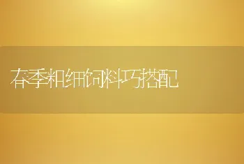 春季粗细饲料巧搭配