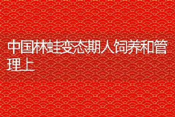 中国林蛙变态期人饲养和管理上