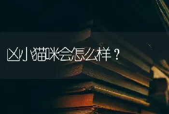 凶小猫咪会怎么样？