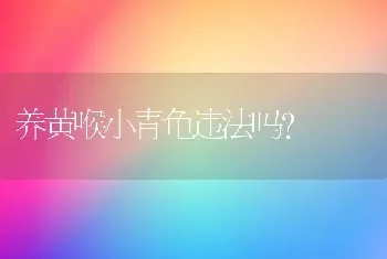 养黄喉小青龟违法吗？