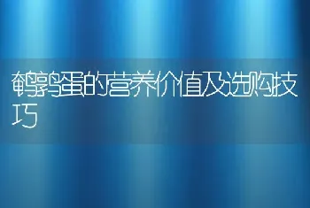 鹌鹑蛋的营养价值及选购技巧