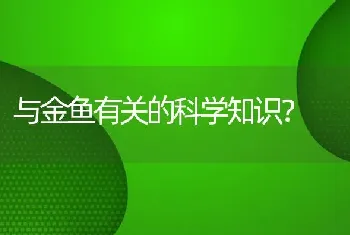 迷你鹦鹉鱼浮头怎么回事？