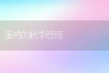 蛋鸡的秋季管理