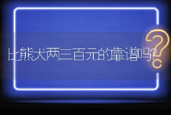 比熊犬两三百元的靠谱吗？