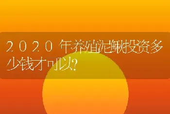 2020年养殖泥鳅投资多少钱才可以？