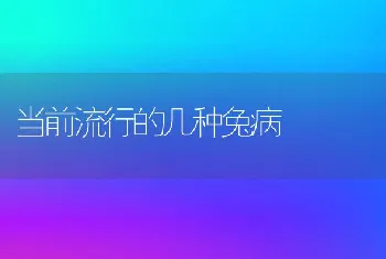 当前流行的几种兔病