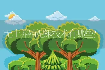 无土养殖泥鳅技术有哪些？