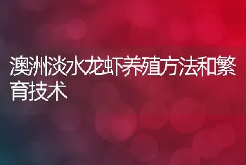 澳洲淡水龙虾养殖方法和繁育技术